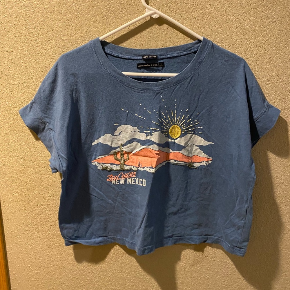 Abercrombie embroidered cropped tee